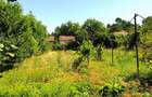 Casă cu 2 camere cu Teren 920 Mp în Ginta - 16