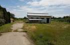 Casă cu 4 camere cu Teren 6000 Mp în Căteasca - 1