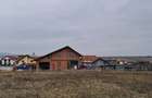 Teren de 5600 mp, în Archia - 1