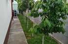 Casă cu 4 camere în Afumați - 2