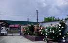 Casă cu Teren 867 Mp în Drăganu