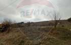 Teren intravilan de vanzare 2.307 mp - Salicea, comuna Ciurila - 8