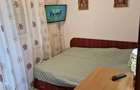 Apartament cu 2 camere semidecomandat în Teiul Doamnei - 7