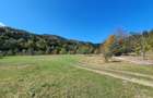 Teren agricol de 9000 mp, în Babarunca - 4
