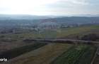 Teren 19.375 mp Dambu Rotund. Potential rezidential. Extravilan - 6