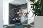 Spatiu de birou premium in cartierul Marasti - 4