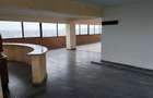 Penthouse Exclusivist In Inima Craiovei | 317 Mp Utili + 393 Mp Terase - 2