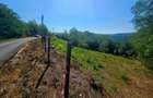 Teren Construcții de 2322 mp, în Păcuri - 1