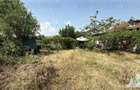 Casă cu Teren 828 Mp în Cernica - 2