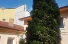 Proprietar vand pe Rebreanu ,Casa de locuit aroape de intersectia cu C.Girocul, fs 20ml , - 3