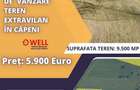 De vanzare teren extravilan in Capeni - 3