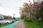 Spatiu comercial centru, renovat - 1