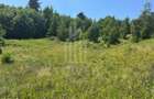 Teren intravilan 4600mp - 55 EUR/mp - EXCLUSIVITATE CISNADIOARA - COMI - 10