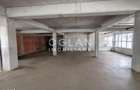 Spatiu Comercial 305 mp+ gradina 178mp, Bieltz/Turnisor - 3
