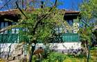 Vand casa sat Pietroaia - 1