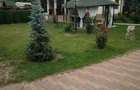 Proprietate -2 case de vanzare - 9