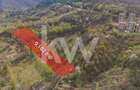 Teren Construcții intravilan de 9102 mp, în Drumul Poienii - 3