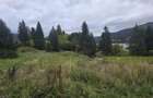 TEREN DE VANZARE COLIBITA _4600 EUR AR - 4