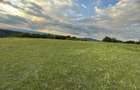 Teren de inchiriat pentru camping - 6