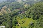 CASTEL DE VANZARE IN MARAMURES - 2
