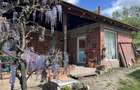 folosi: Casa + teren 6.000 mp, Tapia 4 km de Lugoj, zona linistita - 1
