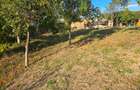 CASĂ  + 2.257 MP Teren intravilan / Plescoi, Berca, Jud. Buzau