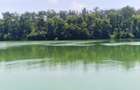 TEREN 1 880 MP IN BRANESTI | PADURE LAC | STR. SOARELUI - 2