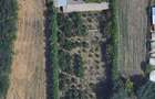 15 euro mp Intravilan - Cuza Voda, CL, 4400 mp sau 2200 mp, intravilan - 3