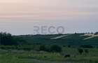 RECO Teren in Paleu 903 mp, acces rapid din Saldabagiu de Mu - 6
