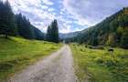 Teren intravilan panoramic 4.600 mp, view iconic Piatra Craiului, oportunitate P - 7
