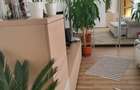 Casă cu 4 camere cu Teren 700 Mp în Central - 6