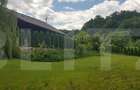 Casă cu 5 camere cu Teren 3000 Mp în Făget - 8 Casă cu 5 camere cu Teren 3000 Mp în Făget - 8