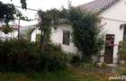 Vand proprietate cu posibilitati diverse in Curtici - 6