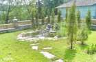 Pensiune 13 camere,750 mp, 2000 mp de teren, lac, Varatec - 6