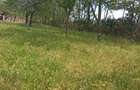 Vand teren intravilan - 3