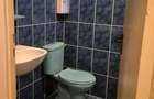 Inchiriez parterul unei case pe bulevard, Satu Mare - 2