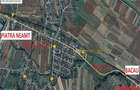 Teren 12.586mp - DN15 - Bacau - Buhusi - deschidere 162ml - posibilita - 4