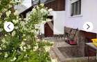 Casa de vanzare aproape de beius - 15