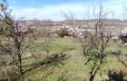 Teren intravilan 3.798 mp in Agnita, cu posibilitate de parcelare - 1