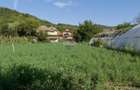 Casa cu iesire la raul Mures de vanzare | Mereteu, Alba
