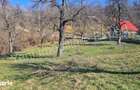 Teren de vanzare in comuna Valea Iasului, sat Cerbureni, jude? Arge?. - 4