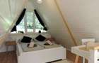Casa A-Frame intre munte, pe termen lung - 4