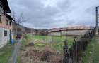 Oportunitate de investitie in Comuna Bezdead - 1