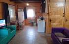 Cabana + teren generos, 60 mp utili, 30 km de Deva - Boz - 11