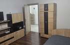 Apartament 1 camera de inchiriat zona Carrefour Felicia (bloc 2016) - 6