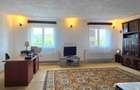 Albestii de Arges, refugiu de weekend sau business turistic, vila spatioasa, teren 1632 mp - 6