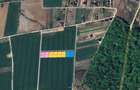 Loturi de teren la padure | 500-1000mp | Izvorani- Snagov - 2