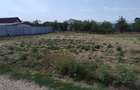Teren Construcții intravilan de 500 mp, în Livada de Bihor - 1