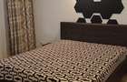 Inchiriez 2 camere str Carpatilor - 9