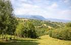 Comision0% Investitie turistica unica - Bran Sohodol 10131mp-Via Transilvanica - 9